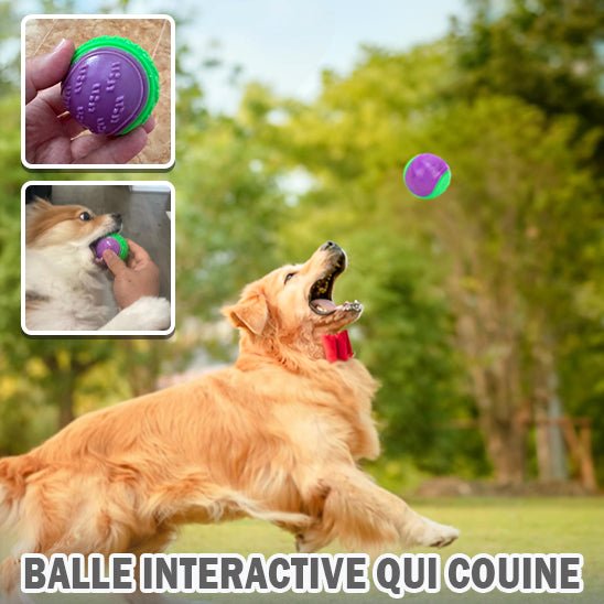 Balle interactive qui couine (OniBallâą) Palais Canin