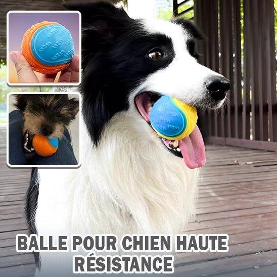 Balle pour chien haute rĂ©sistance (OniBallâą) Palais Canin