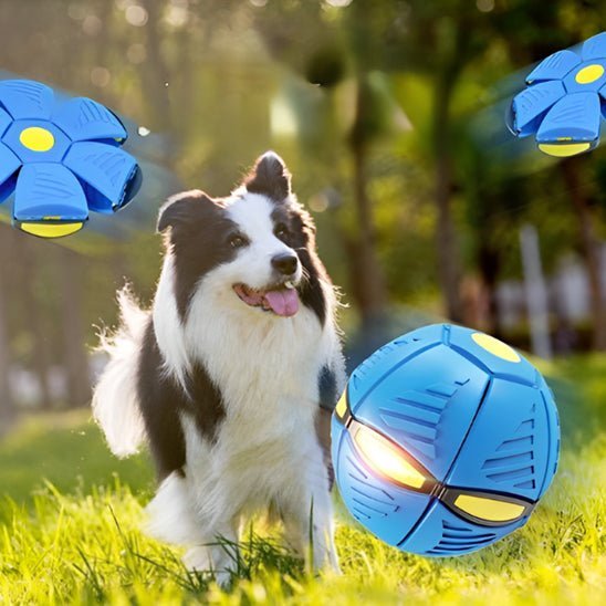 Balle pour chien pour jouer (IncredibleBall™) Palais Canin