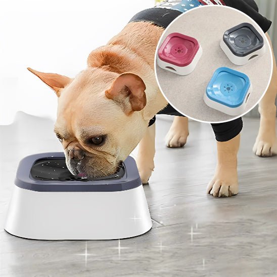 Bulldog buvant dans gamelle pour chien (InterestingBowlâą) Palais Canin