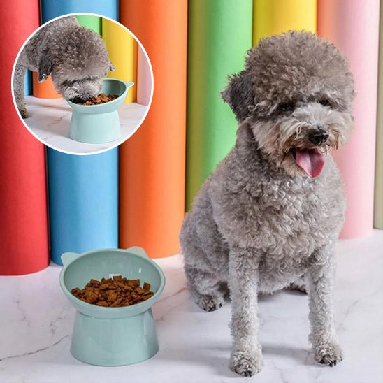 Caniche avec gamelle pour chien (TheFencyBowl™) Palais Canin