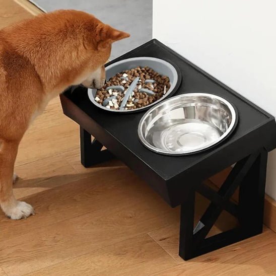 Chiba mange dans gamelle pour chien (NoRiskForLoveâą) Palais Canin