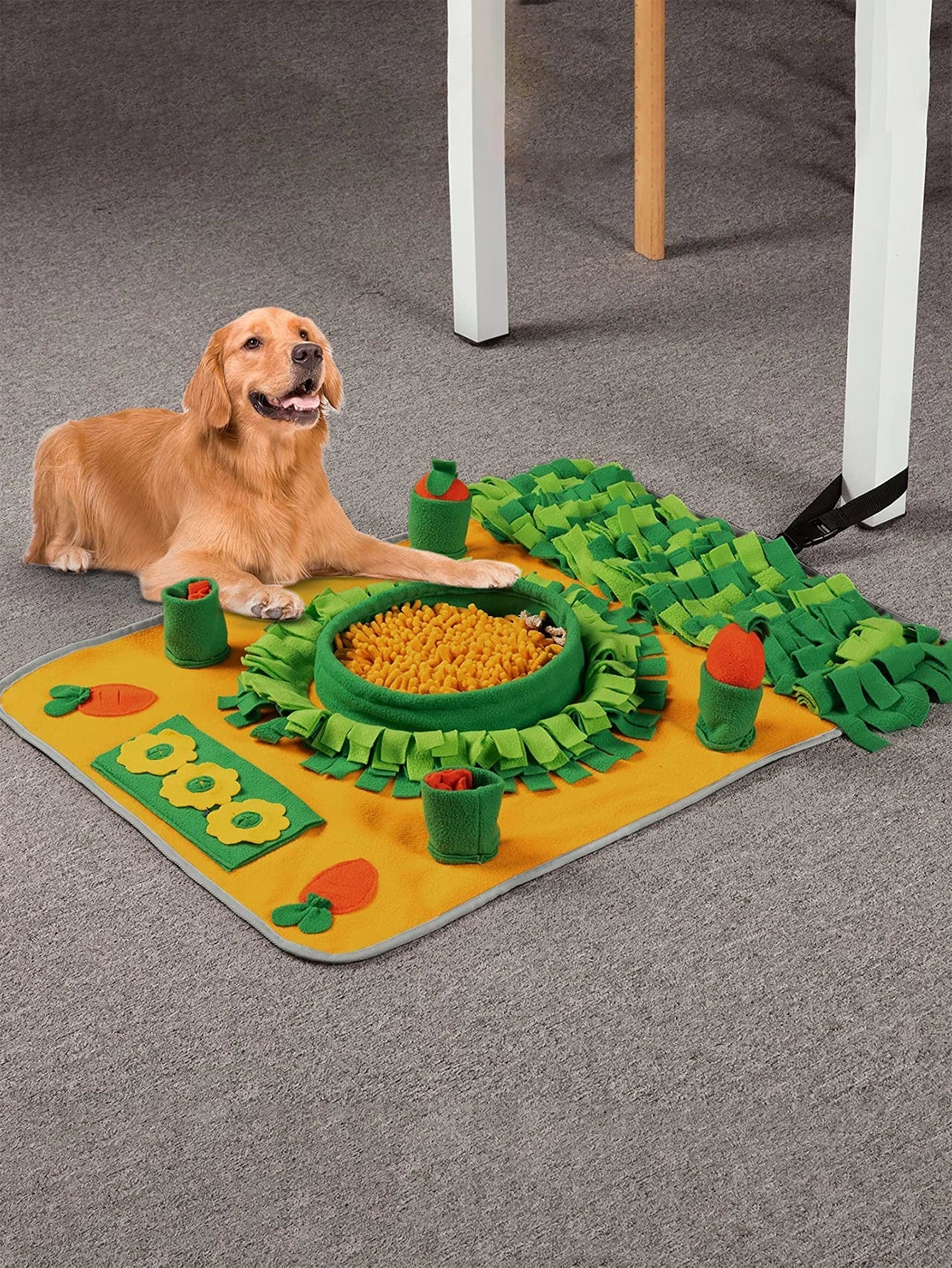 Chien avec Tapis de Fouille - BigMaxâą - Le Palais Canin