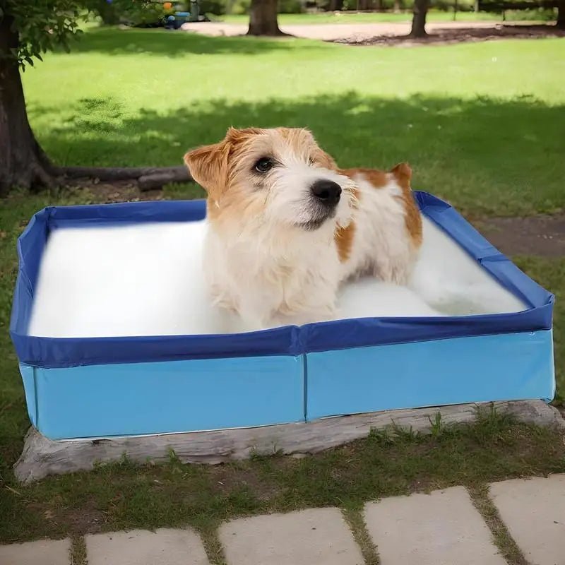 Chien avec piscine savonné (PoolParty™) Palais Canin