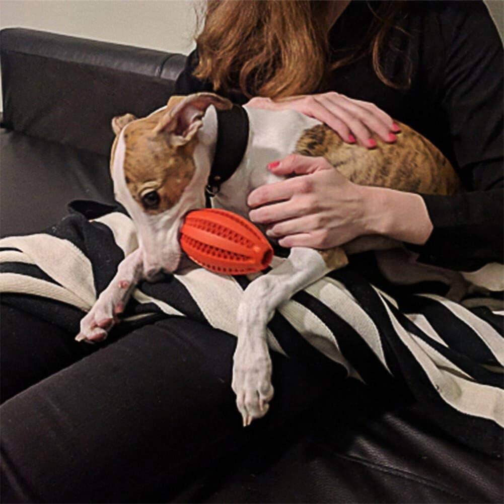 Chien jouant avec jouet interactif (ChewBounceBall™) Palais Canin
