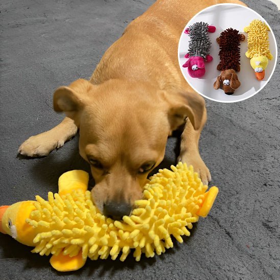 Chien jouant avec peluche pour chien (CarpetPetâą) Palais Canin