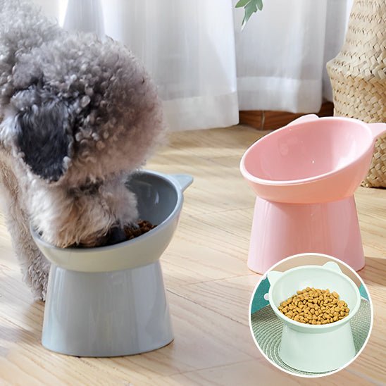 Chien mange dans gamelle pour chien (TheFencyBowl™) Palais Canin