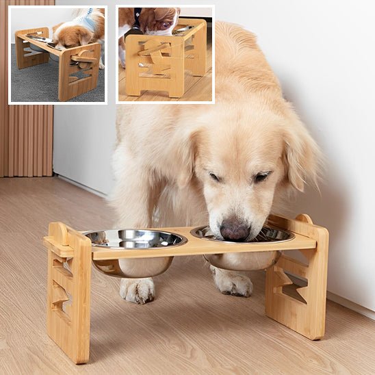 Chien mangeant dans gamelle pour chien (WoodBackâą) Palais Canin