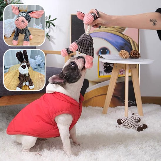 Chien tirant sur peluche (CuriousDonkey™) Palais Canin