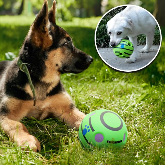 Chiot jouant avec balle pour chien (RollingBallâą) Palais Canin