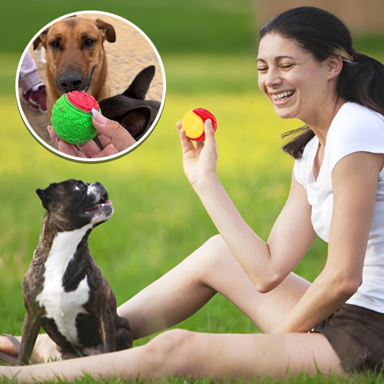 Femme qui joue avec une balle avec chien (OniBallâą) Palais Canin