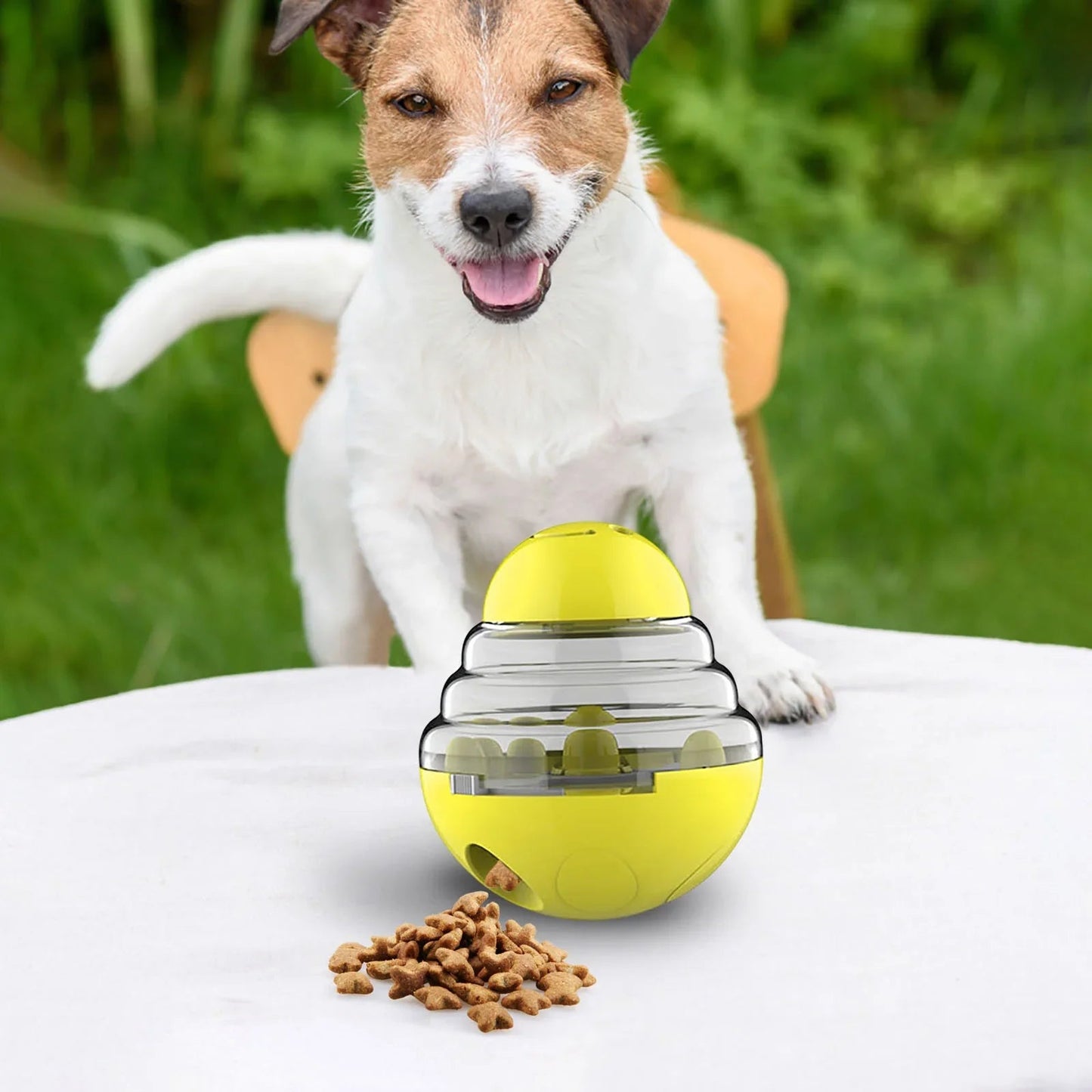 Jack Russel avec un jouet interactif pour chien jaune (SlowFeederDogâą) Palais Canin