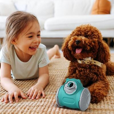 Jouet interactif avec jeune fille et un chien (BrainChase™) Palais Canin