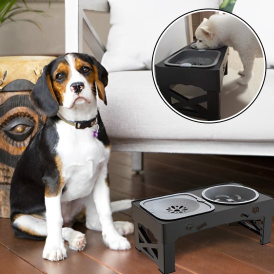 Petit chien avec Gamelle pour chien (SaferLife™) Palais Canin