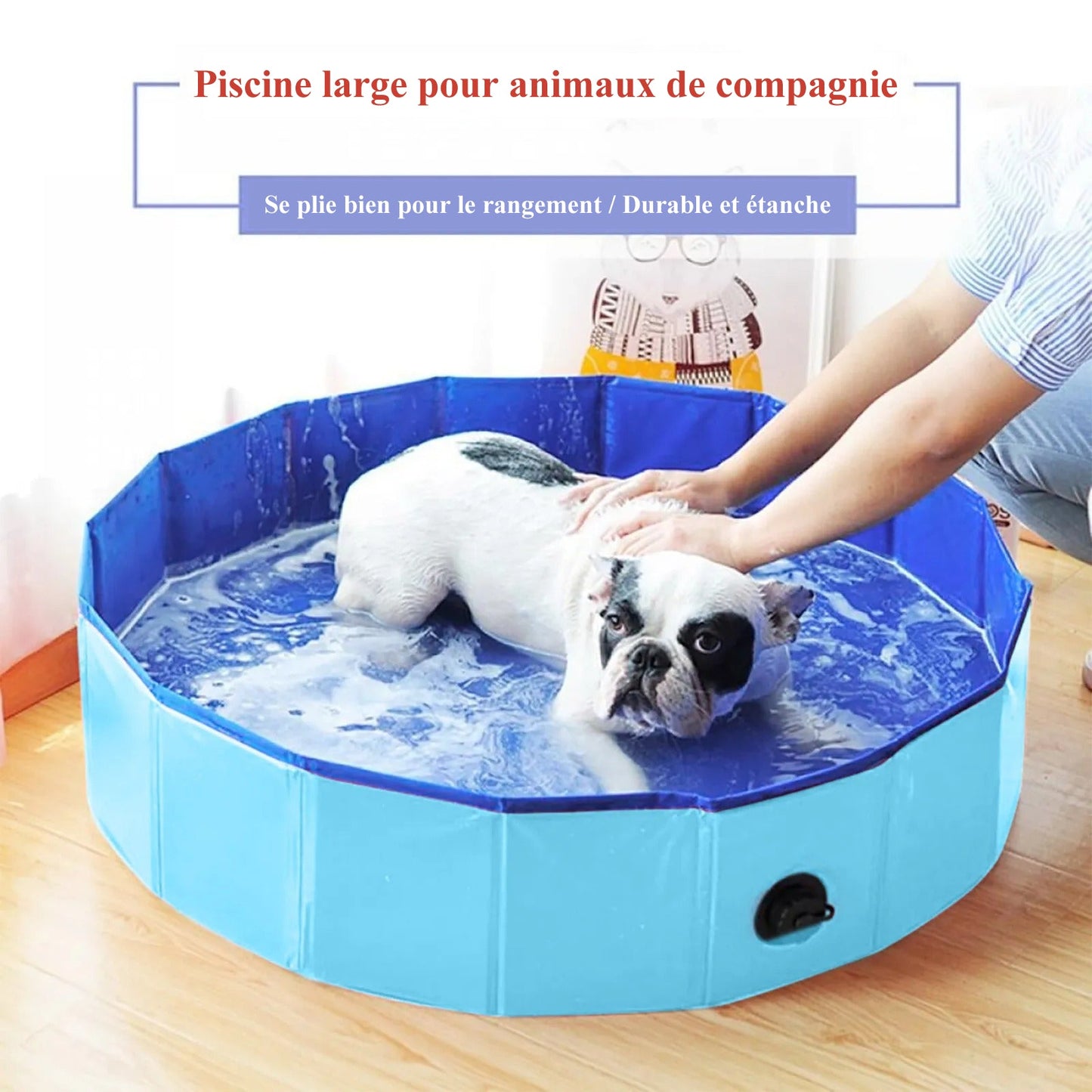 Piscine pour laver chien (HolyPool™) Palais Canin