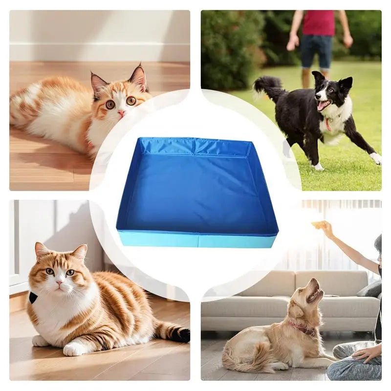 Plusieurs animaux pour la piscine pour chien (PoolParty™) Palais Canin