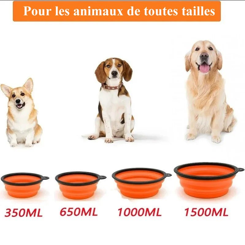 Plusieurs format de gamelle pliable pour chien (NeverHungry™) Palais Canin