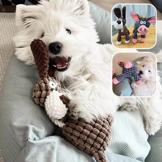 Yorkshire jouant avec peluche brun (CuriousDonkey™) Palais Canin