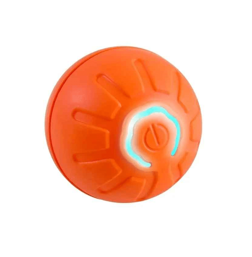 Balle pour Chien - RunnerBall™ - Palais Canin