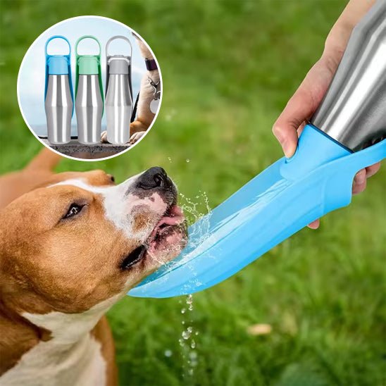 Chien buvant dans gourde pour chien (EveryPlace™) Palais Canin