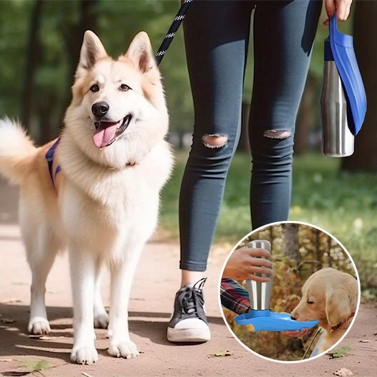 Chien en promenande avec gourde pour chien (EveryPlace™) Palais Canin