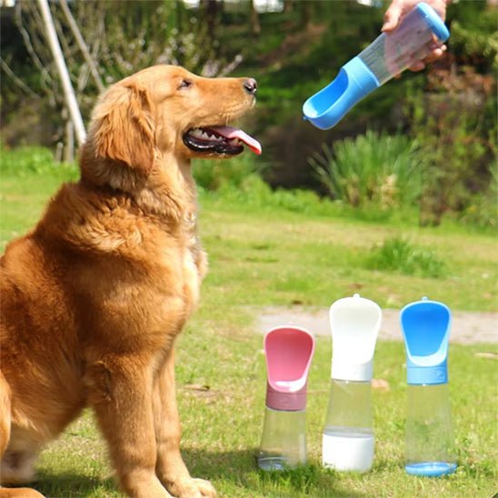 Chien avec gourde pour boire (NotThirsty™) Palais Canin
