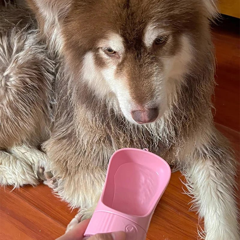 Gourde pour Chien - NotThirsty™ - Palais Canin