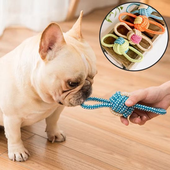 Jouet pour Chien - DogRope™ - Palais Canin