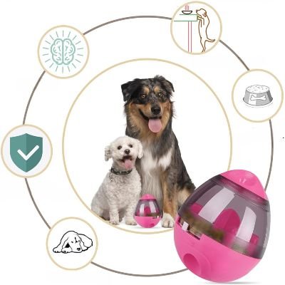 jouet interactif rose avec deux chien en santé