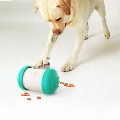 jouet interactif turquoise avec petit chien (DogChase™) Palais Canin