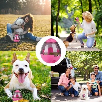 plusieurs famille avec leur jouet interactif pour chien rose