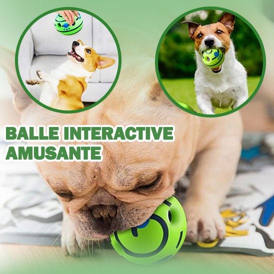 Dringball™ | Balle Interactif Épanouissante et Destressante pour Animaux - Palaiscanin