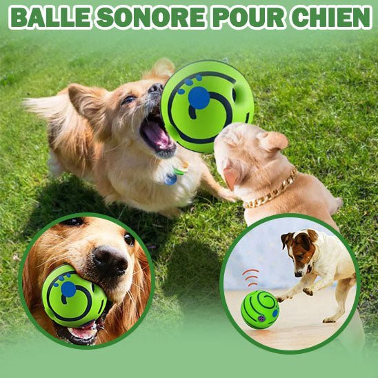 Dringball™ | Balle Interactif Épanouissante et Destressante pour Animaux - Palaiscanin