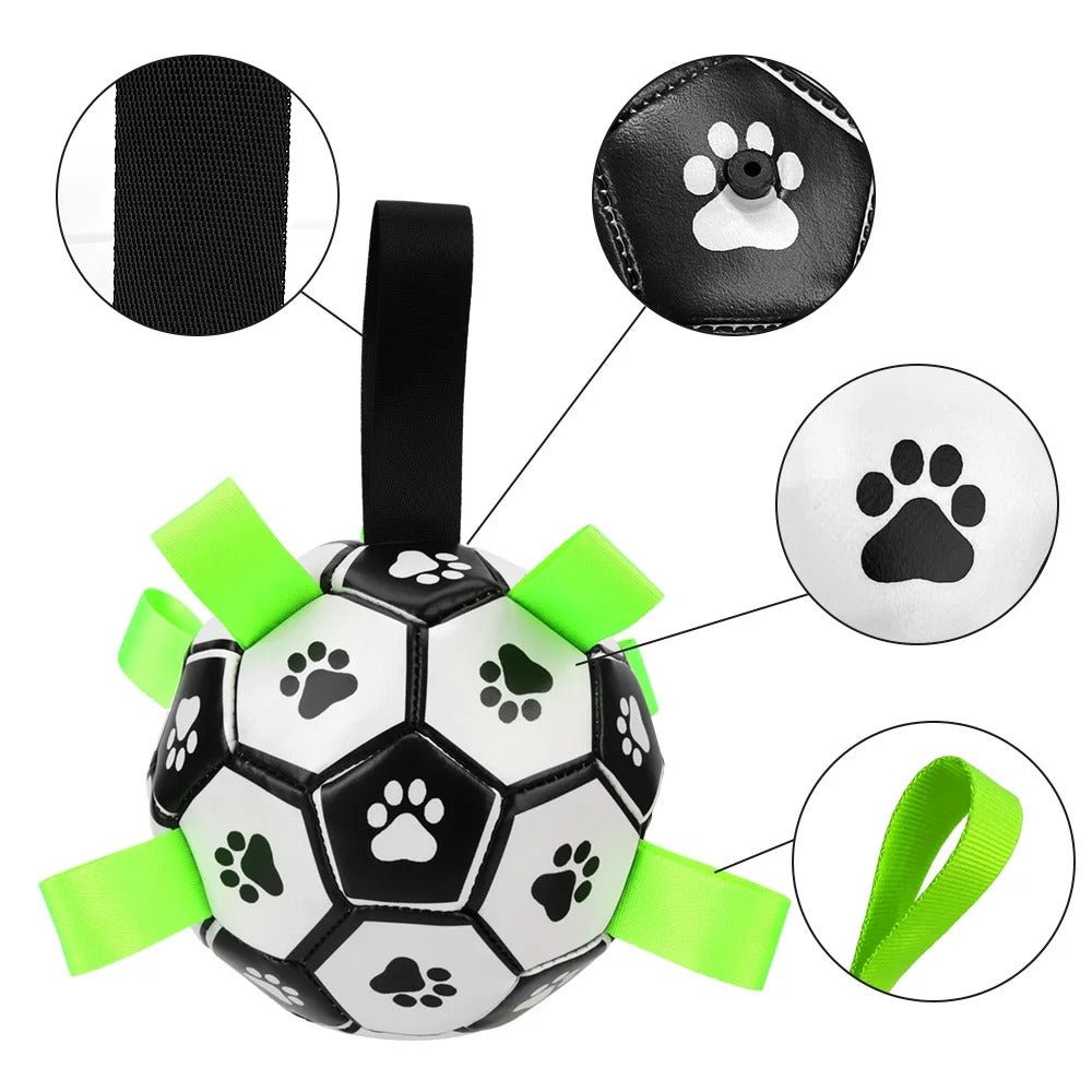 Ballon Chien avec accessoires - SportDog™ - Le Palais Canin