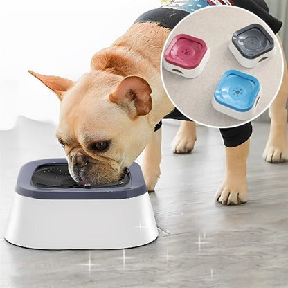 Bulldog buvant dans gamelle pour chien (InterestingBowl™) Palais Canin