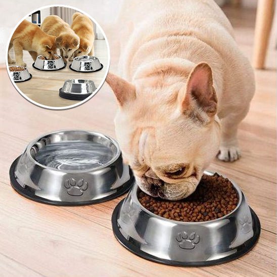 Bulldog mangeant dans gamelle pour chien (NoPushDog™) Palais Canin