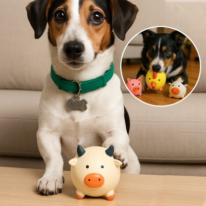 Chien avec boule jouet - ScreamingPets