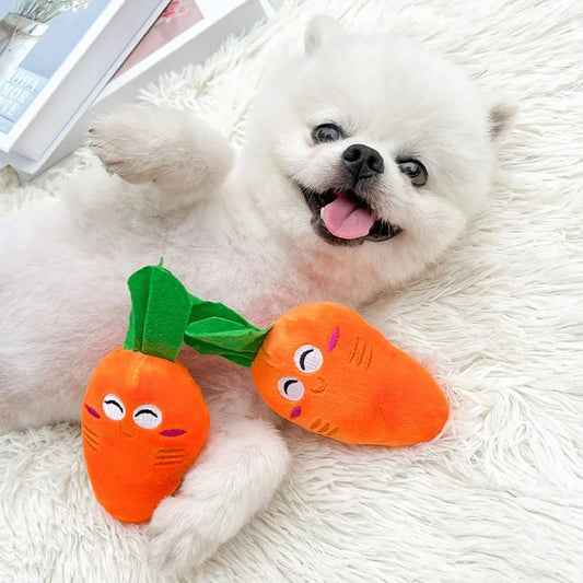 Chien avec peluche carotte - SmilingCarrot
