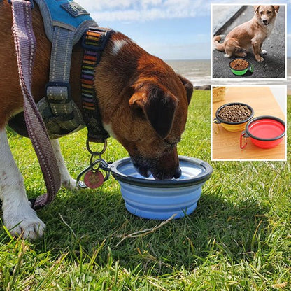 Chien buvant à l'extérieur avec gamelle pliable (NeverHungry™) Palais Canin
