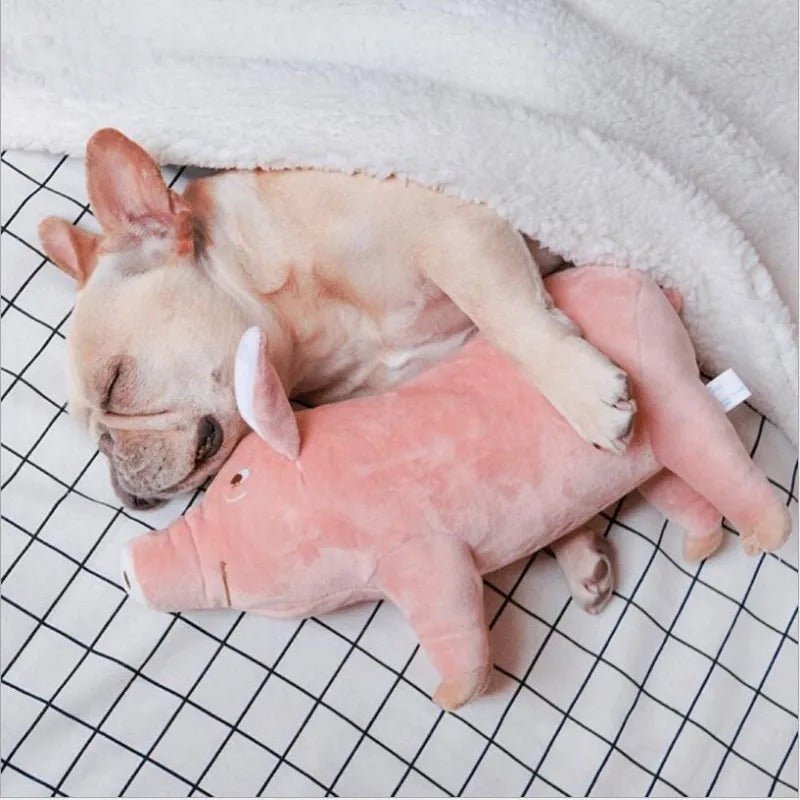 Chien dormant avec peluche pour chien (PrettyPig™) Palais Canin