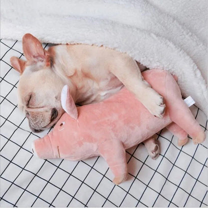 Chien dormant avec peluche pour chien (PrettyPig™) Palais Canin