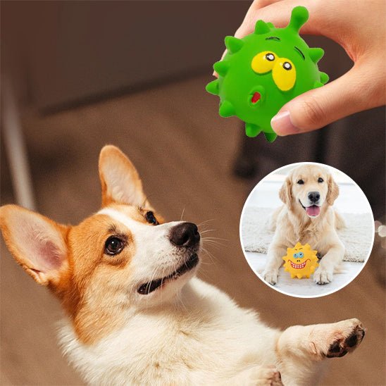 Chien jouant avec jouet vert - LittleMonsters