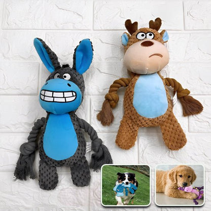 Chien jouant avec peluche - FunnyPets