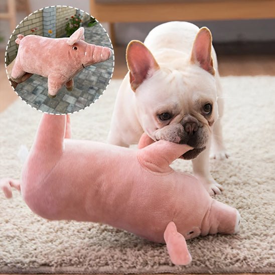 Chien jouant avec peluche pour chien cochon (PrettyPig™) Palais Canin