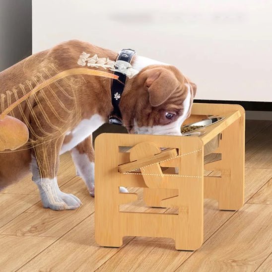 Chien mangeant sainement (WoodBack™) Palais Canin