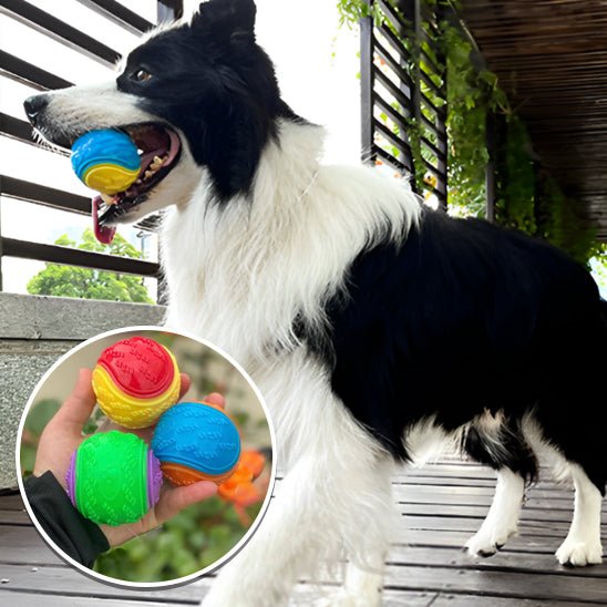 Chien tenant balle pour chien (OniBall™) Palais Canin