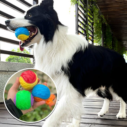 Chien tenant balle pour chien (OniBall™) Palais Canin