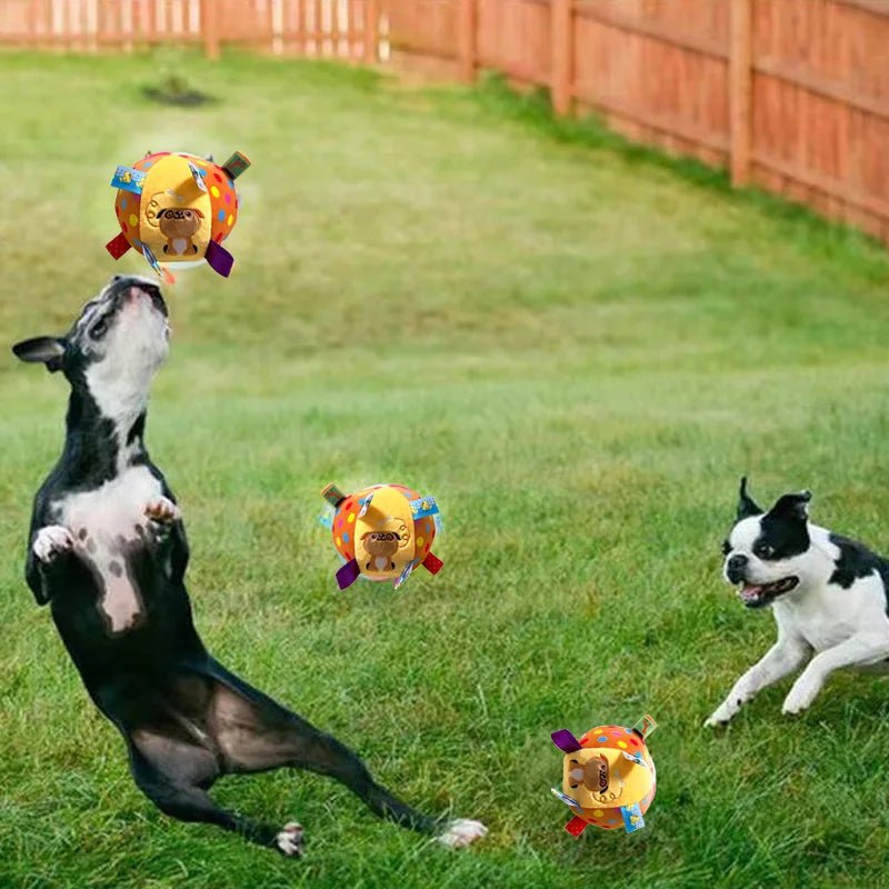 Deux chien avec balle qui couine - RunFree