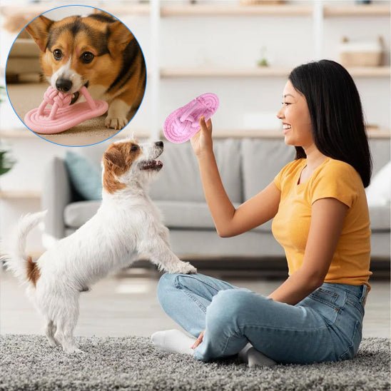 Deux chien jouant avec sandale rose - ExoticSandal