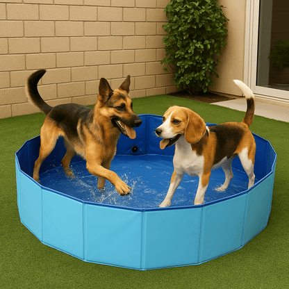 Deux chiens dans piscine (HolyPool™) Palais Canin